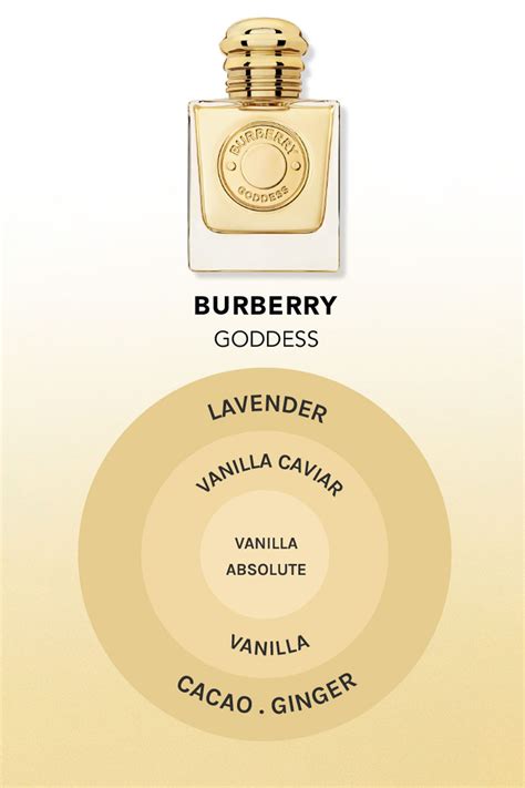 are burberry perfumes good|what does burberry smell like.